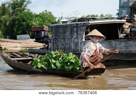 Colour Swimming Markets In Vietnam In The Mekongu Delta