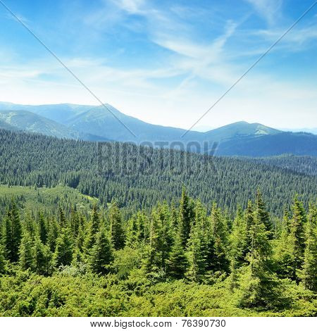 mountains covered trees and blue sky