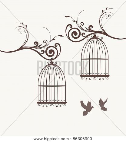 Bird Cages