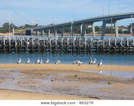 Ponte
