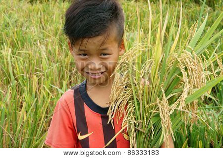 Asia Children, Rice Field