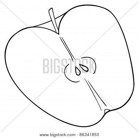 Delightful Garden - Half Of Sliced Apple With Seeds