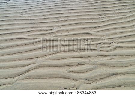 Low tide on the beach