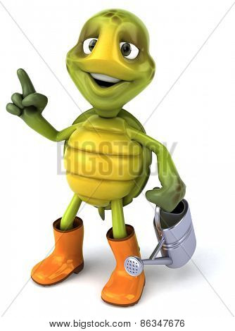 Fun turtle