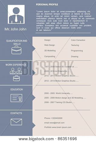 Cv Curriculum Vitae Template