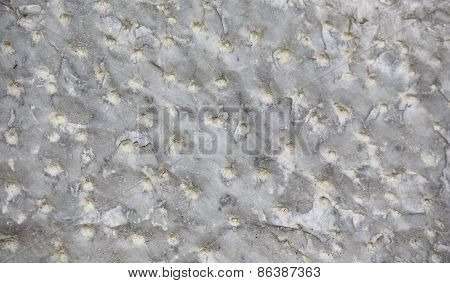 Marble Texture