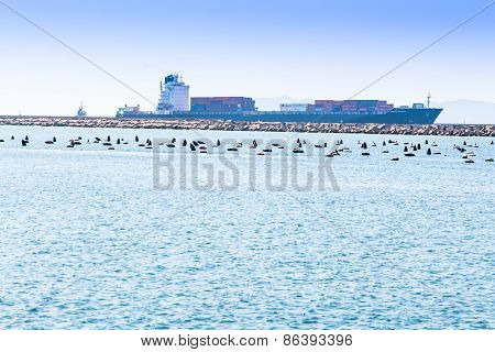 Cagliari - Italy - 8 March 2015: Santa Ricarda Container Ship Enters The Port Channel Of Cagliari