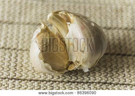 Extra Large Elephant Garlic