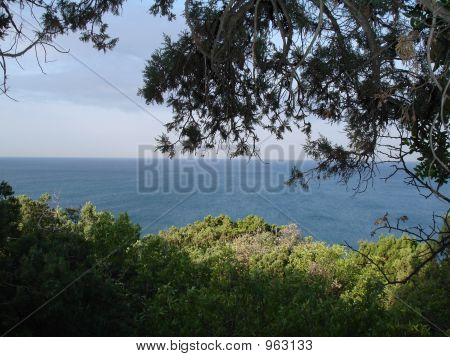 Coast