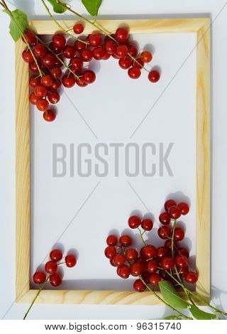 frame for text, photos