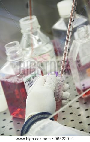Scientist At Work In A Laboratory