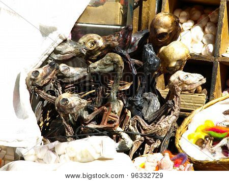 Dried fetus of llamas