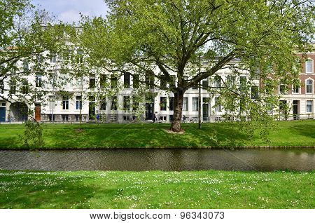 Westersingel Street Near Museumpark In Rotterdam