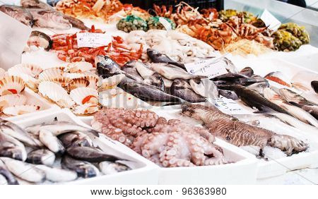 fish open market