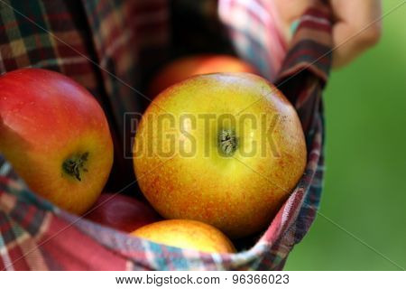 Red apple in hemline of female clothing, closeup