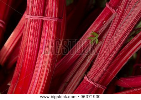 Red Stems From The Leaves Of Beets At The Farmers Market