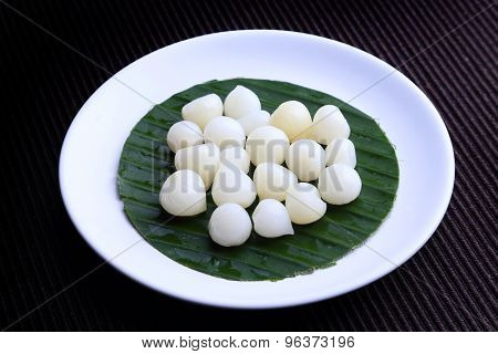 Single Bulb form of Elephant Garlic (Allium ampeloprasum var.ampeloprasum) - Thai Elephant Garlic (g