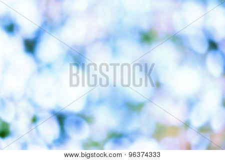 Artistic Soft Light Abstract Background  Blurred Magic Lights For Your Design.