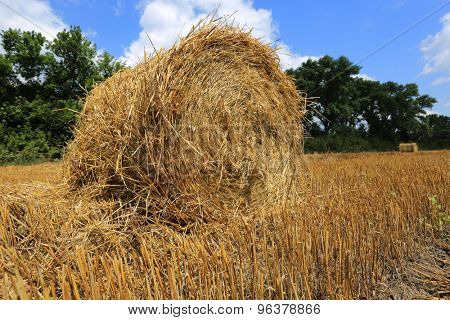 Hayrolls on crop field at summer time