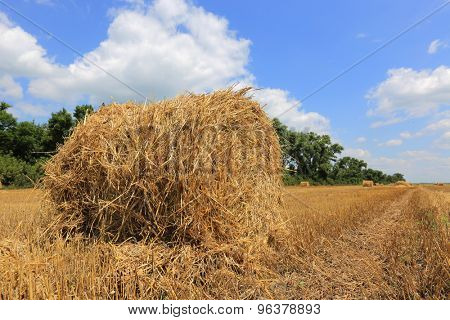 Nice summer meadow with hayrolls