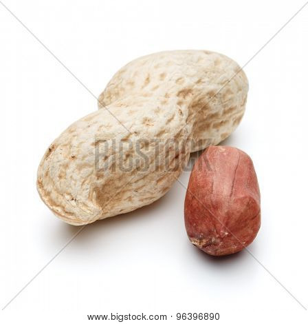 peanut pod or arachis isolated on white background cutout