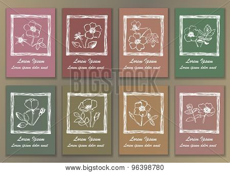 Set Vintage Posters with hand drawn ink roses