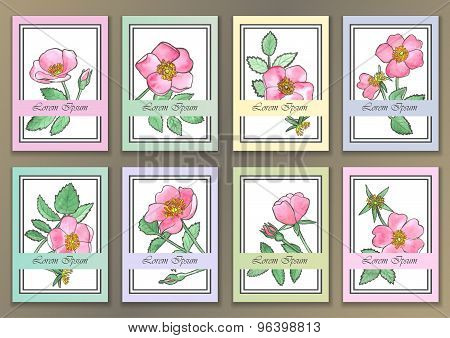 Set Vintage Posters with hand drawn watercolour roses