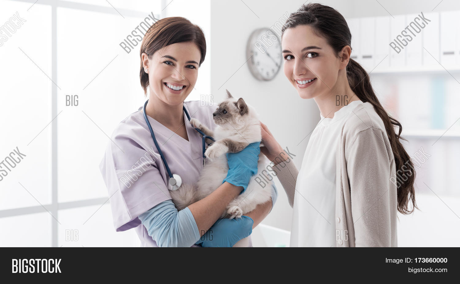 Veterinarian, Pet Image & Photo (Free Trial) Bigstock