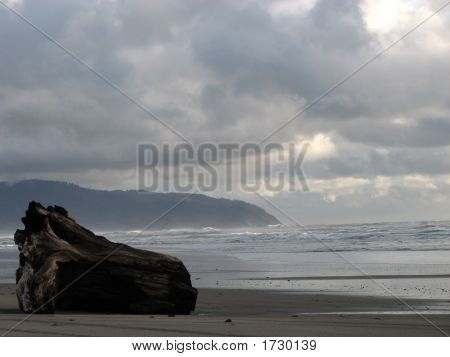 Pacific Ocean kyst