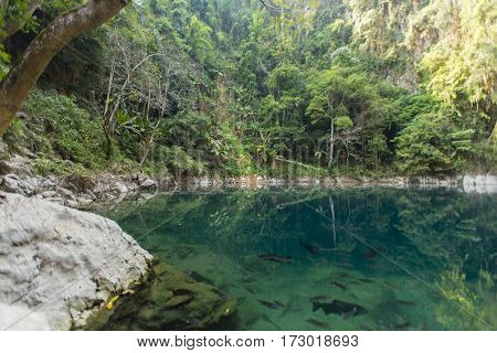 amazing beautiful landscape view of green lagoon or Lom Phu Khieo next to a tree  and cliff in lampang province of Thailand in travel destination concept