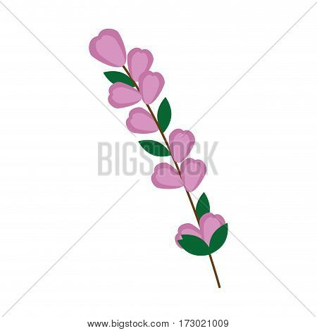 color Silhouette flowers with oval leaves and ramifications vector illustration