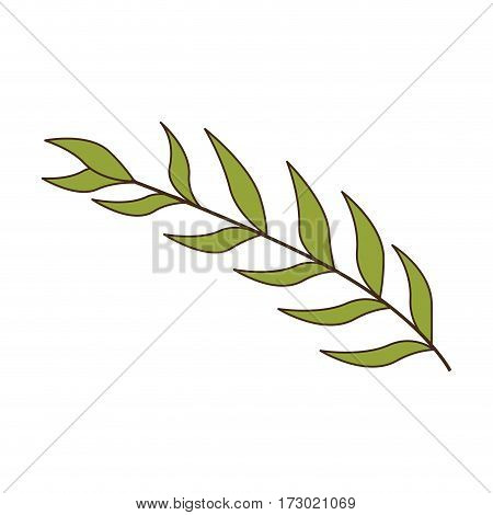 green oval leaves with ramifications vector illustration