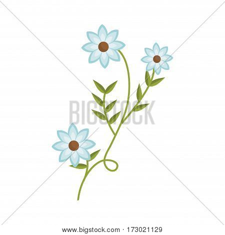 plant with ramification and blue flowers vector illustration