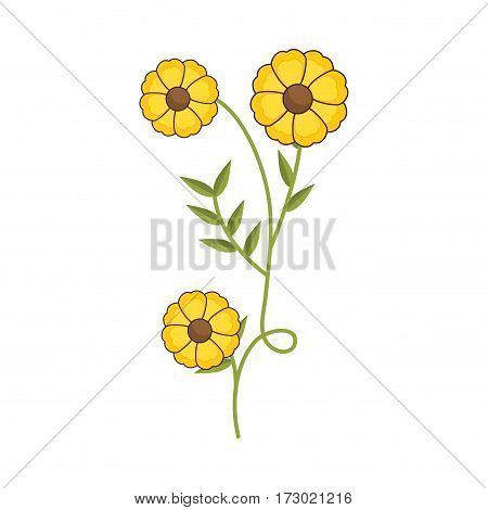 plant with ramification and yellow flowers vector illustration