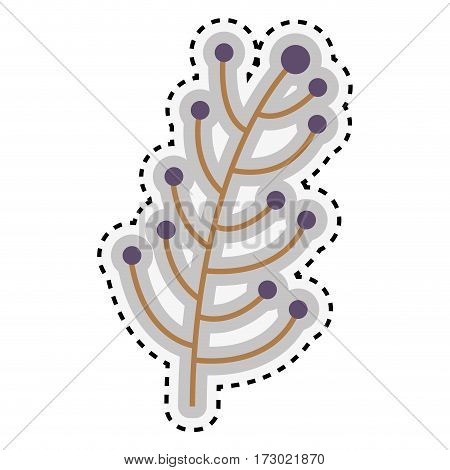 sticker ramifications tree with stem and branches vector illustration