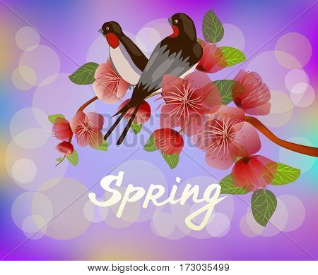 Nature background with blossom branch of pink sakura flowers. Vector template isolated