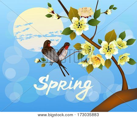 Nature background with blossom branch of pink sakura flowers. Vector template isolated