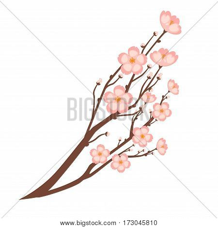 Colorful close up sakura branch isolated on white. Spring symbolic japanese cherry flower growing on small trees. Vector flat illustration of branch with many little blooming pink sakura flowers