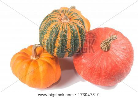 beautiful Fancy pumpkin on a white background
