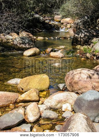 Pedrisa, Comunity Of Madrid, Spain