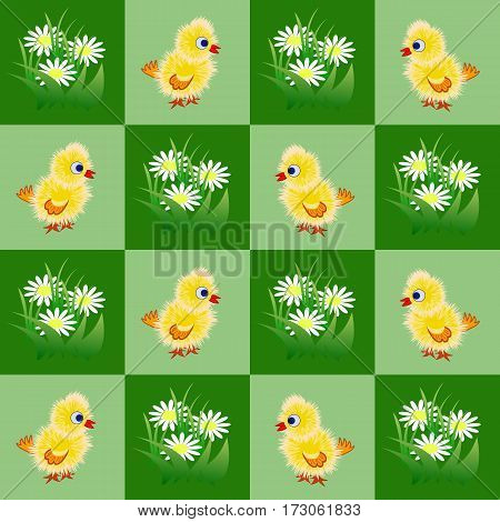 Seamless pattern with little funny yellow chicks and chamomiles in grass. Vector illustration