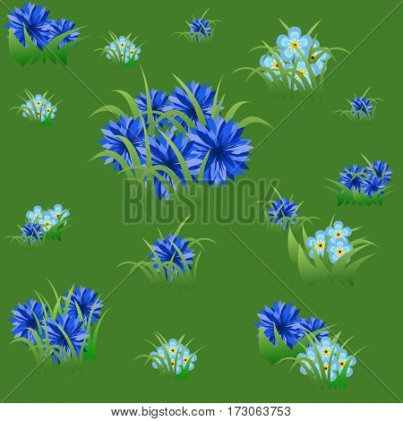 Floral seamless pattern with blue cornflowers and grass on summer green background. Vector illustration