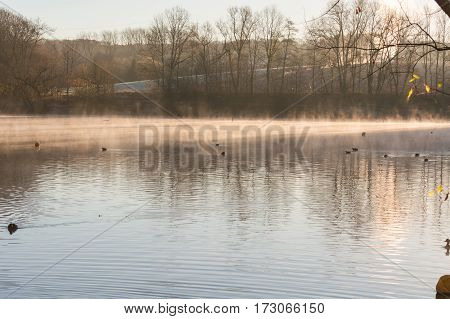 Small pond in hot yellow diffuse morning light