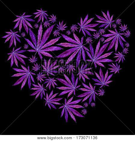 Heart of Bright blue cannabis sativa leaves painted in watercolor. Realistic scientific illustration of plant. Hand drawn marijuana illustration isolated on back background. Design element