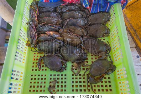 Fresh crabs in basket (Soft shell crab)for sale at seafood market in Thailand