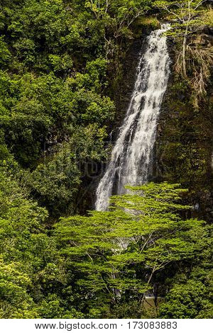 Hawaiian Waterfall