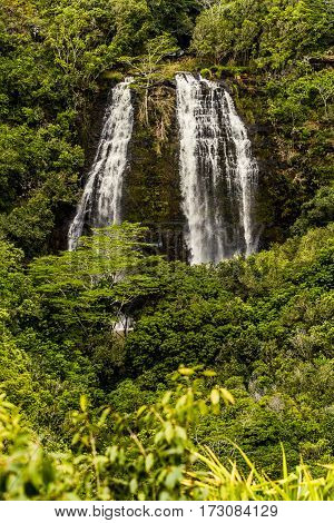 Hawaiian Waterfall