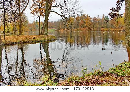 Beautiful romantic alley in a park with colorful trees and sunlight. autumn natural background Gatchina
