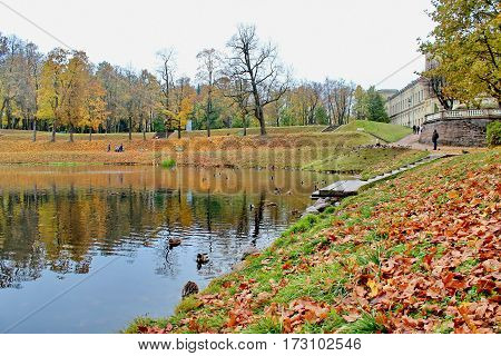 Beautiful romantic alley in a park with colorful trees and sunlight. autumn natural background Gatchina