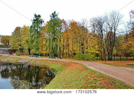 Beautiful romantic alley in a park with colorful trees and sunlight. autumn natural background Gatchina